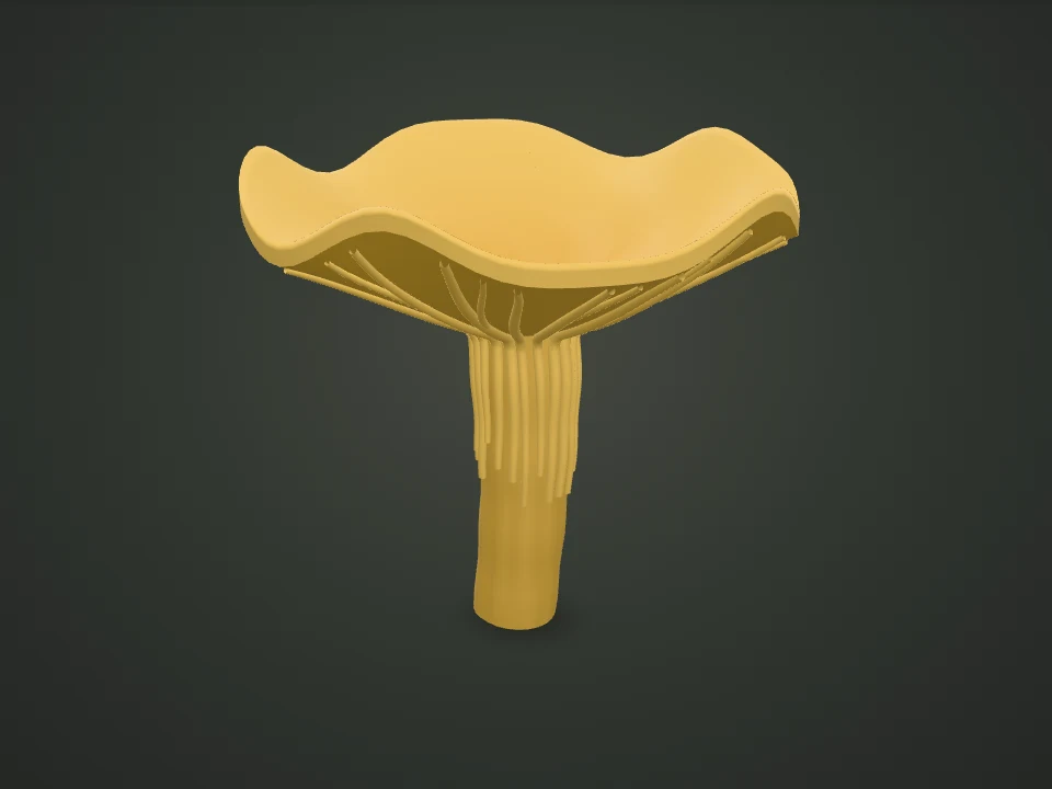 Golden chanterelle — Illustrative 3D model preview