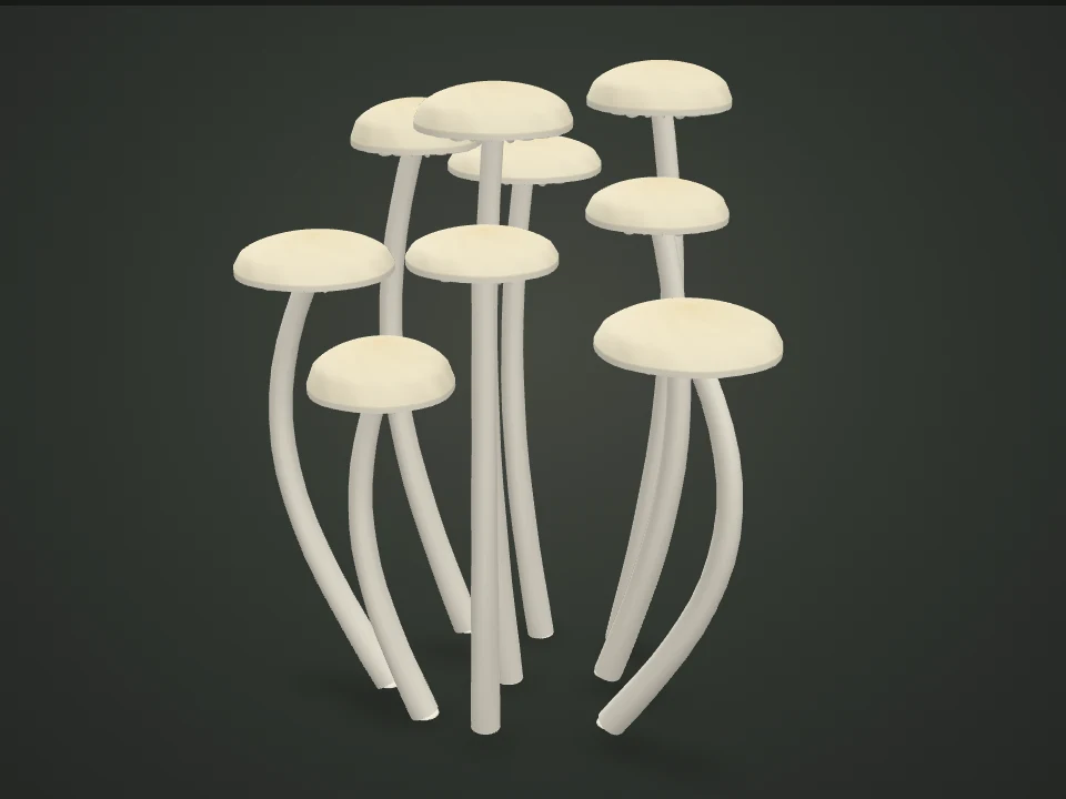 Enoki — Illustrative 3D model preview