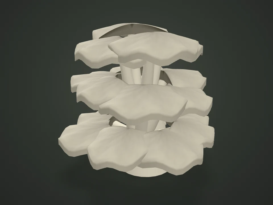 Maitake — Illustrative 3D model preview