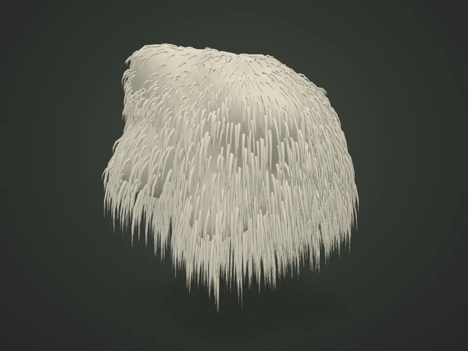 Lion's mane — Illustrative 3D model preview
