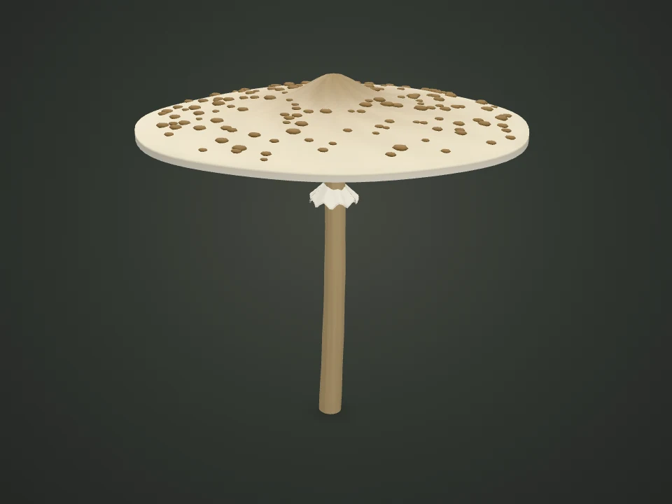 Parasol mushroom — Illustrative 3D model preview