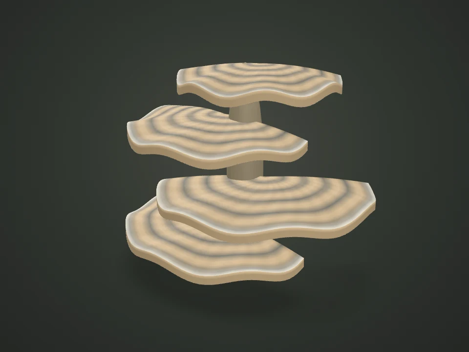 Turkey tail — Illustrative 3D model preview